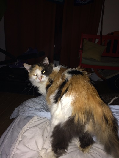 Kiki showing us her bunns!!!!